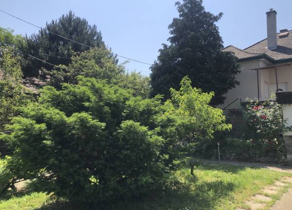 Albérlet, kiadó családi ház, Budaörs