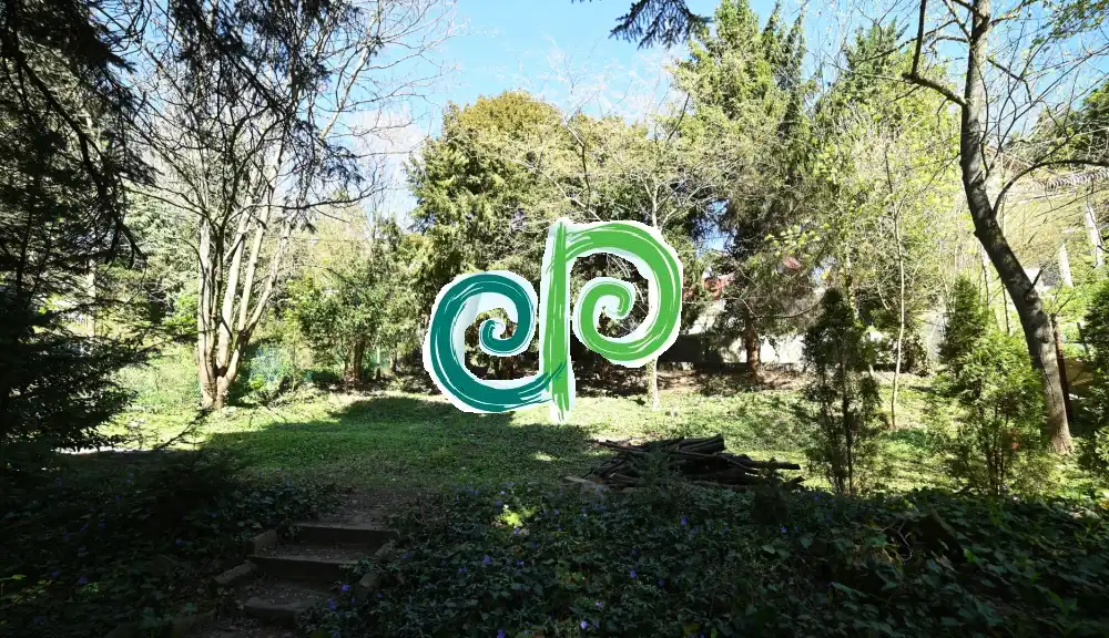 Budapest, XII. kerület - Zugliget