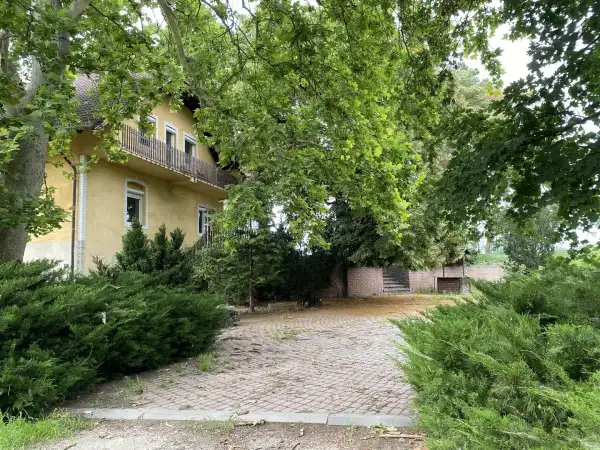 Albérlet, kiadó családi ház, Dabas 10 szoba 280 m² 600 E Ft/hó