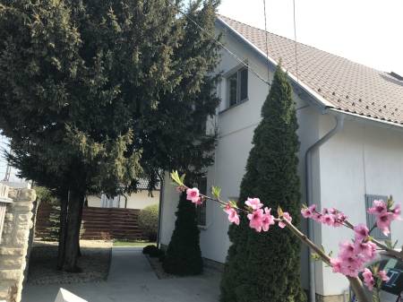 Albérlet, kiadó családi ház, Érd