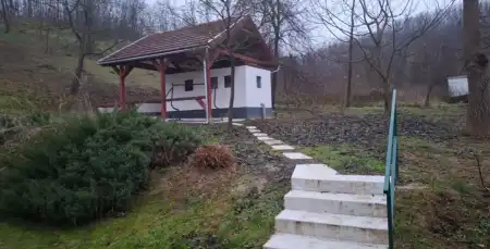 Albérlet, kiadó házrész, Tolmács