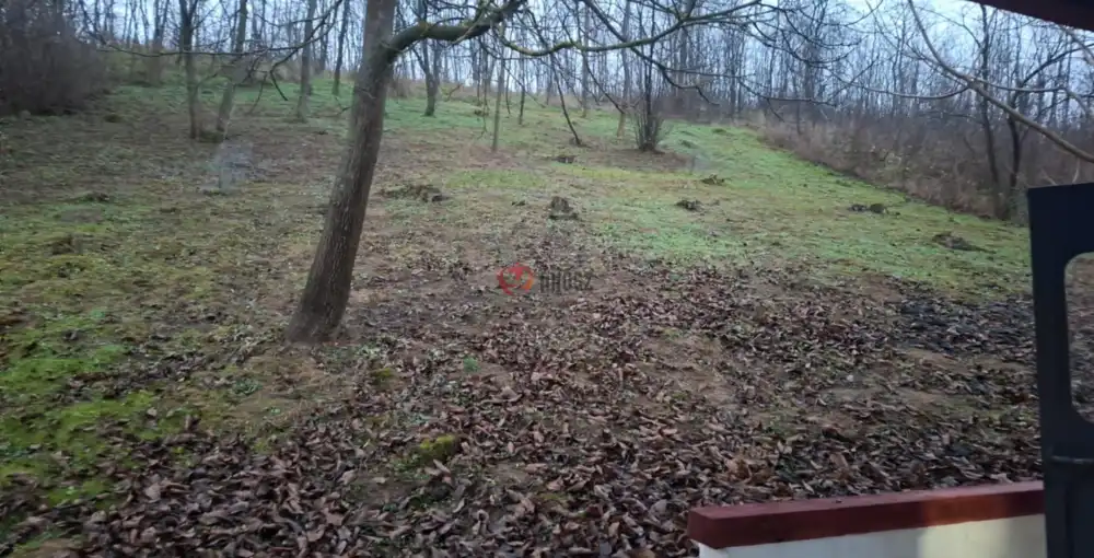 Nógrád megye - Tolmács