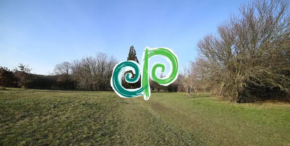 Pest megye - Budakeszi