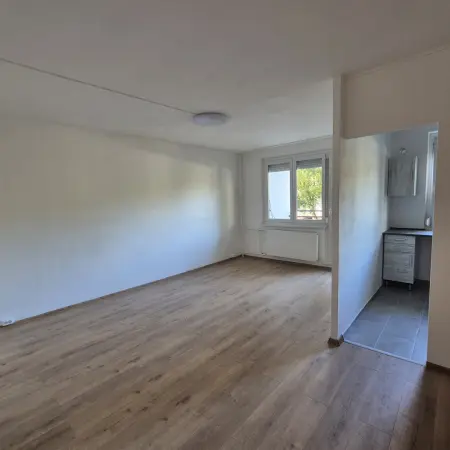 Albérlet, kiadó panellakás, Budapest, III. kerület 1+2 szoba 54 m² 260 E Ft/hó