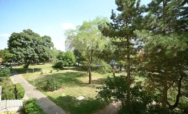 Albérlet, kiadó panellakás, Budapest, XI. kerület 2 szoba 65 m² 250 E Ft/hó