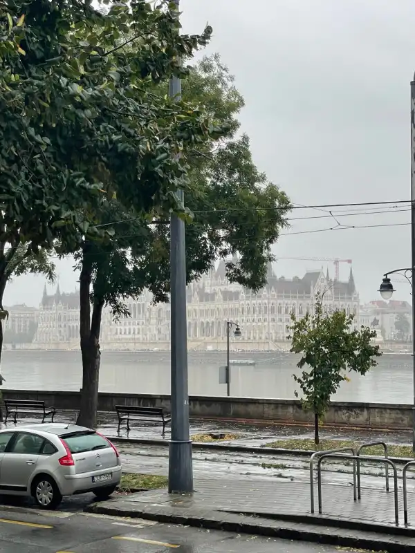 Albérlet, kiadó téglalakás, Budapest, I. kerület 2 szoba 95 m² 856 E Ft/hó