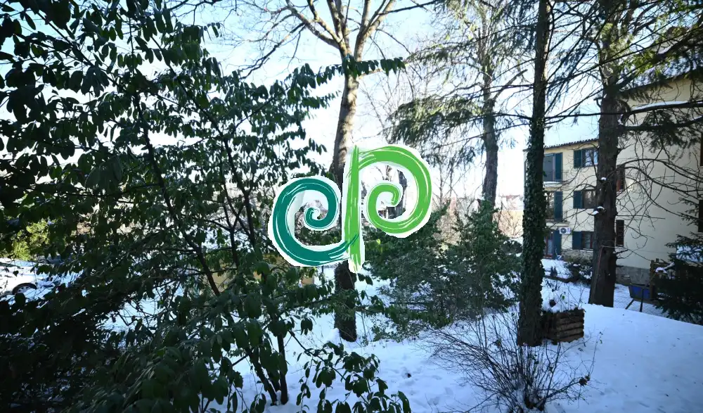 Budapest, II. kerület - Szépilona