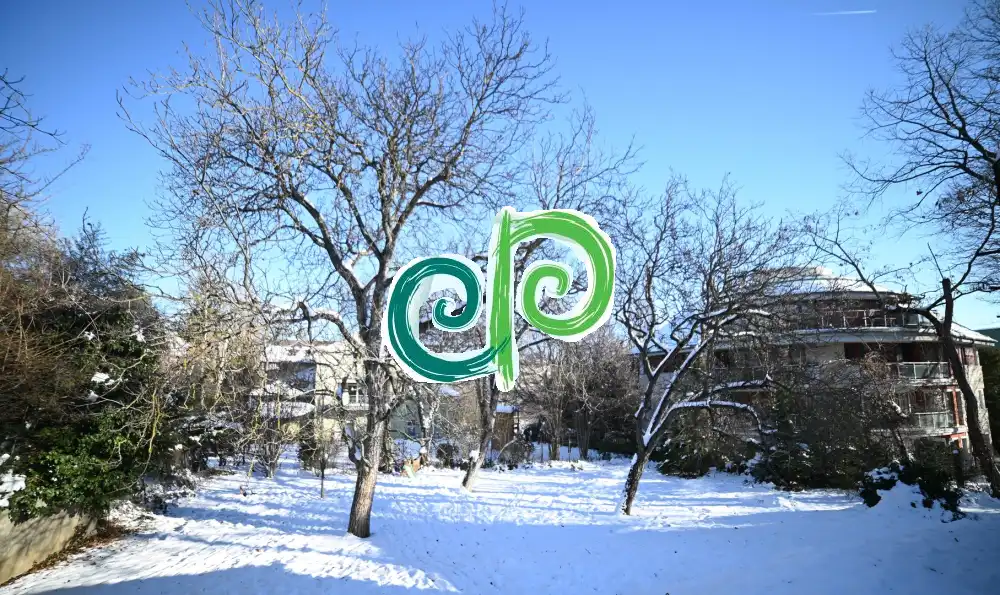 Budapest, II. kerület - Szépilona