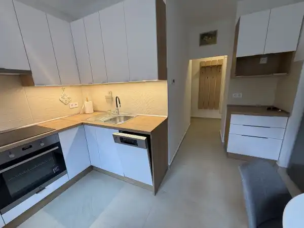 Albérlet, kiadó téglalakás, Budapest, IX. kerület 1 szoba 39 m² 220 E Ft/hó
