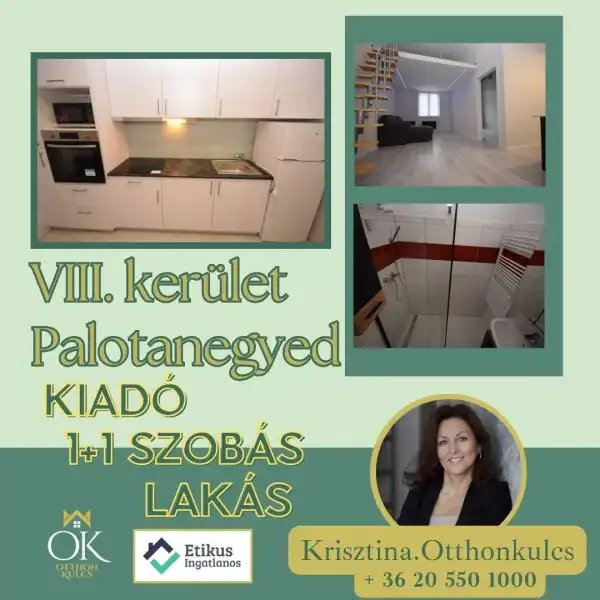 Albérlet, kiadó téglalakás, Budapest, VIII. kerület 1+1 szoba 47 m² 250 E Ft/hó