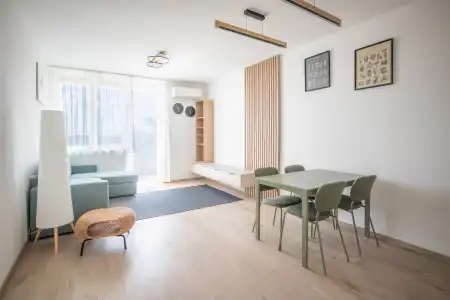 Albérlet, kiadó téglalakás, Budapest, XI. kerület 2+1 szoba 55 m² 380 E Ft/hó