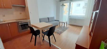 Albérlet, kiadó téglalakás, Budapest, XI. kerület