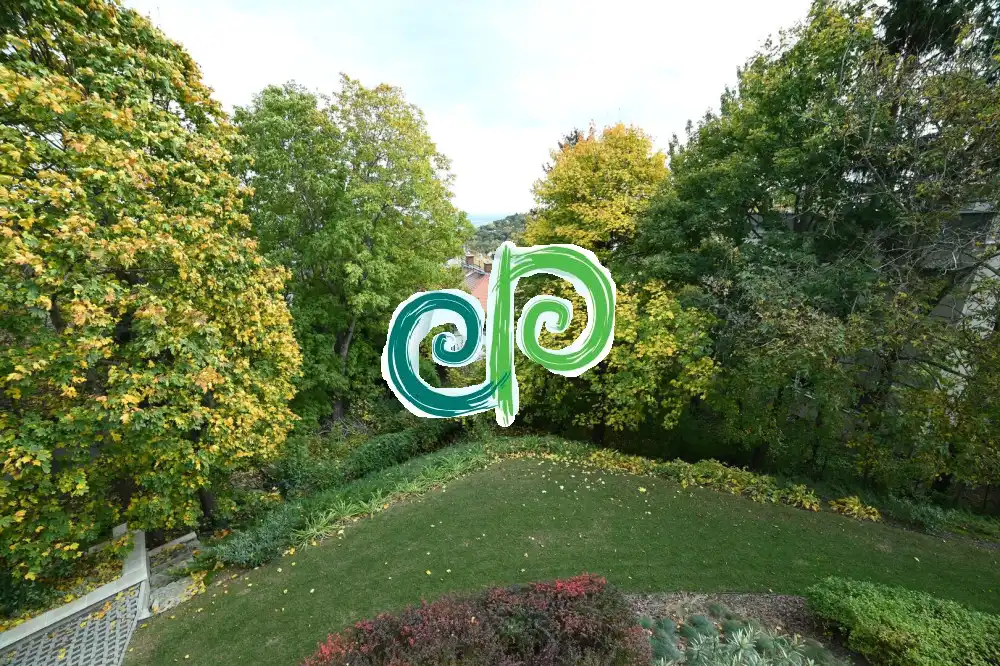 Budapest, XII. kerület - Budakeszierdő