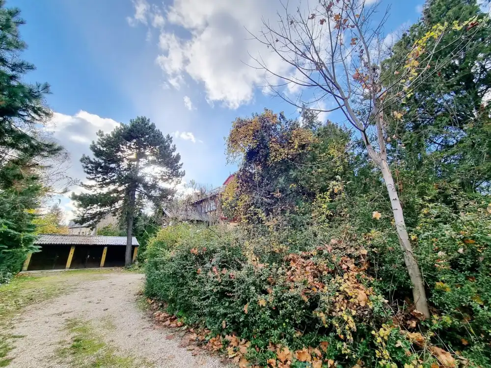 Budapest, XII. kerület - Budakeszierdő