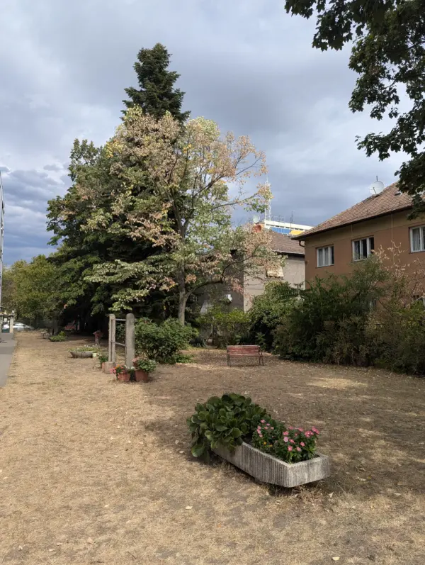 Albérlet, kiadó téglalakás, Budapest, XIV. kerület 1+1 szoba 40 m² 195 E Ft/hó