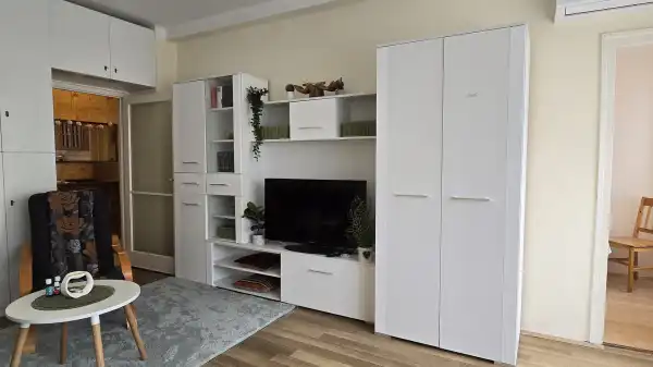 Albérlet, kiadó téglalakás, Pécs 2 szoba 61 m² 170 E Ft/hó