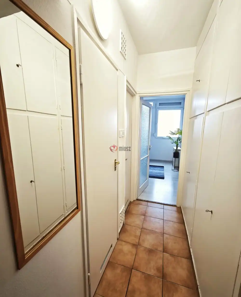 Csongrád megye - Szeged