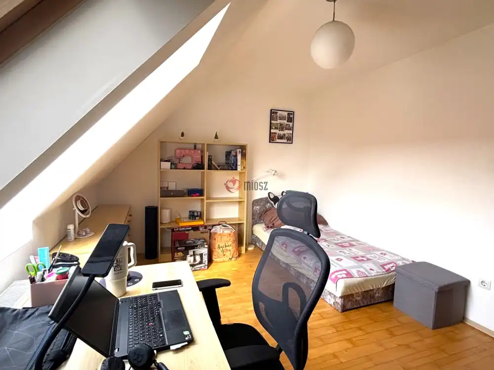 Csongrád megye - Szeged