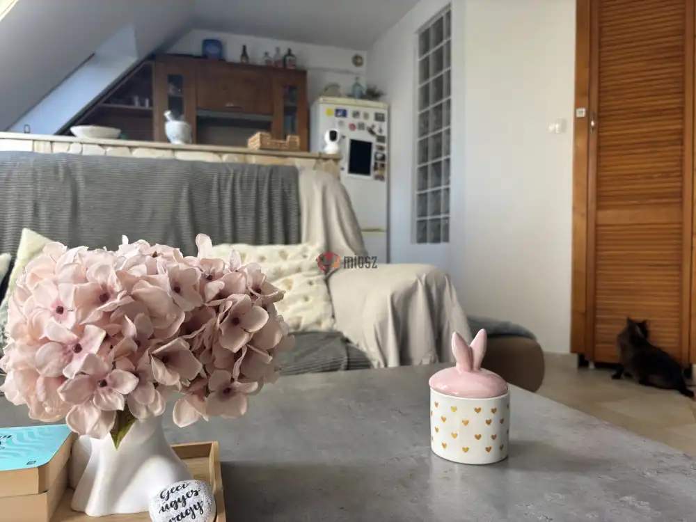 Csongrád megye - Szeged