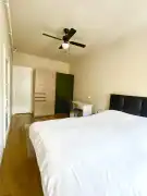 Csongrád megye - Szeged