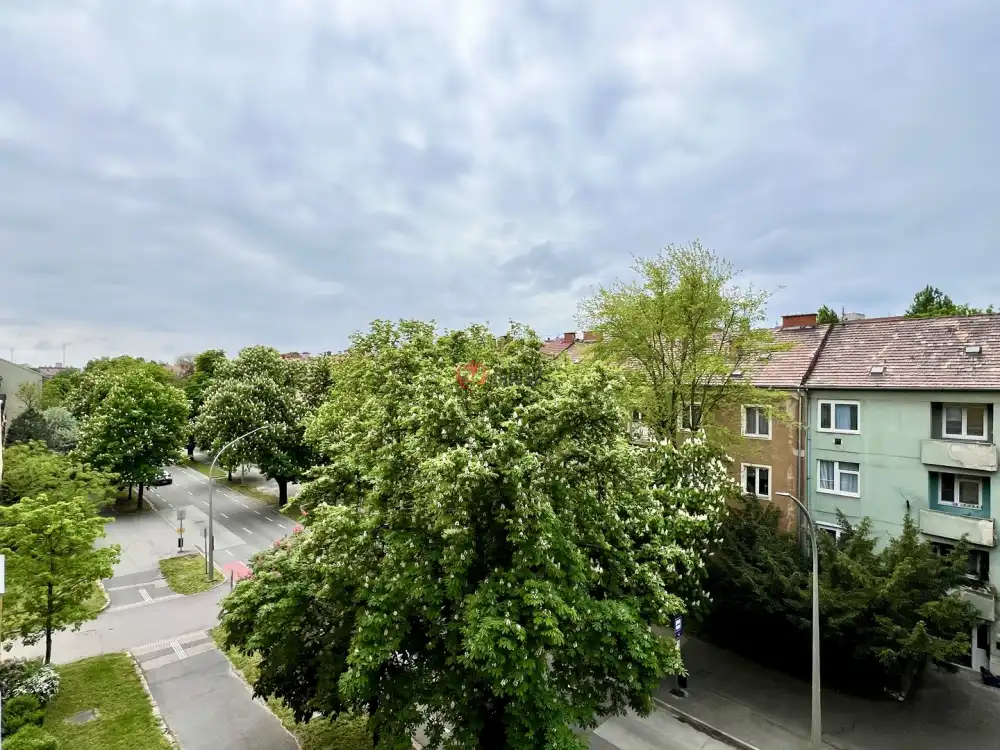 Fejér megye - Székesfehérvár