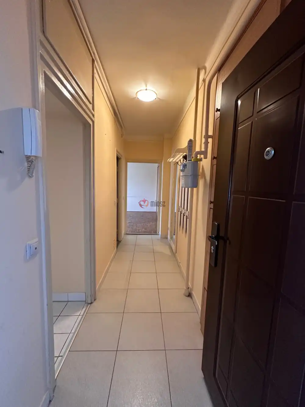 Pest megye - Szigetszentmiklós