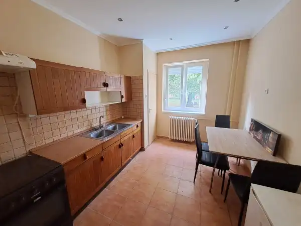 Albérlet, kiadó téglalakás, Tiszaújváros 1 szoba 41 m² 110 E Ft/hó