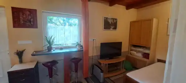 Albérlet, kiadó újszerű téglalakás, Nagykozár 1 szoba 25 m² 110 E Ft/hó