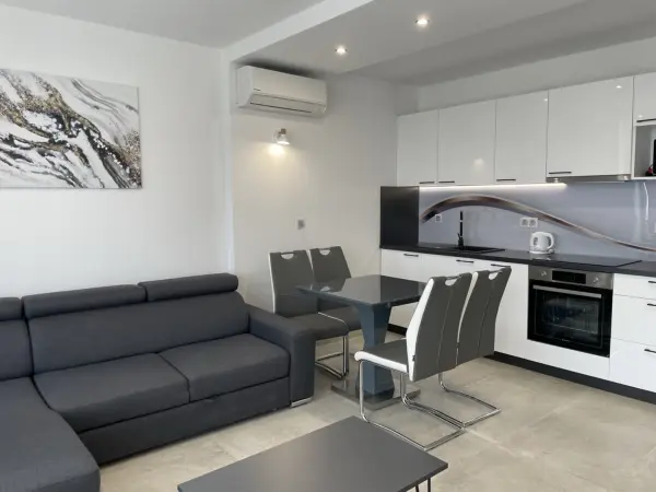 Albérlet, kiadó újszerű téglalakás, Pécs 2 szoba 46 m² 250 E Ft/hó