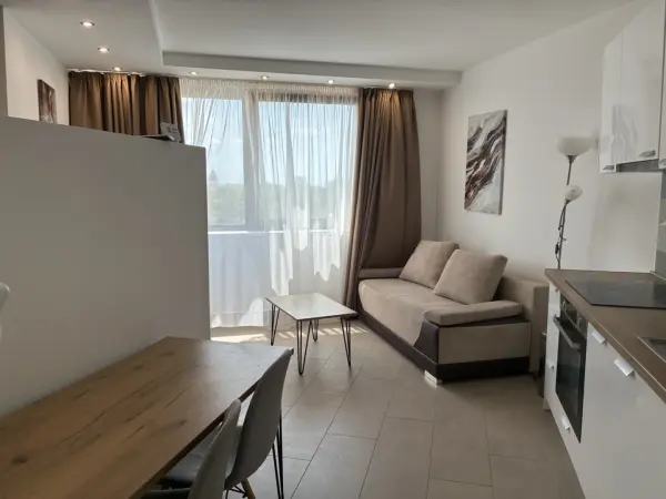 Albérlet, kiadó újszerű téglalakás, Pécs 1 szoba 32 m² 210 E Ft/hó