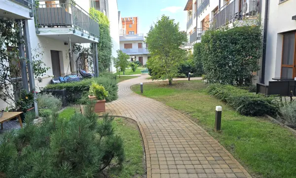 Albérlet, kiadó újszerű téglalakás, Pécs 1 szoba 32 m² 250 E Ft/hó